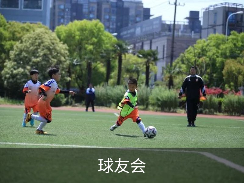 球友会简介